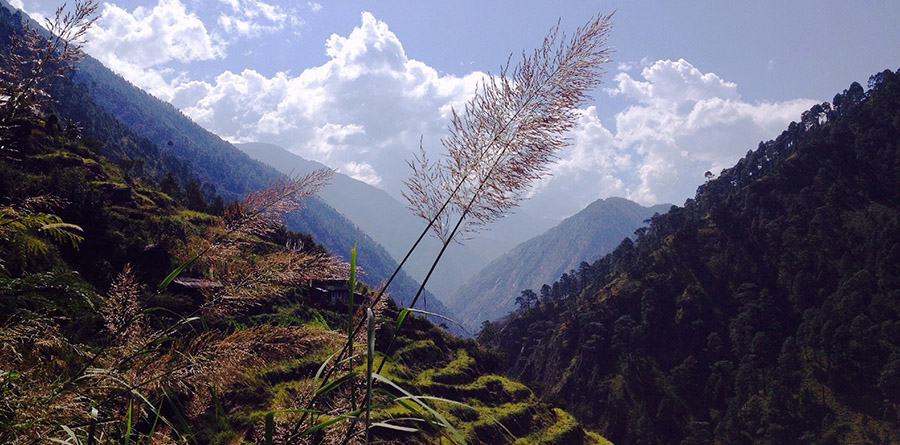 tamang heritage trek